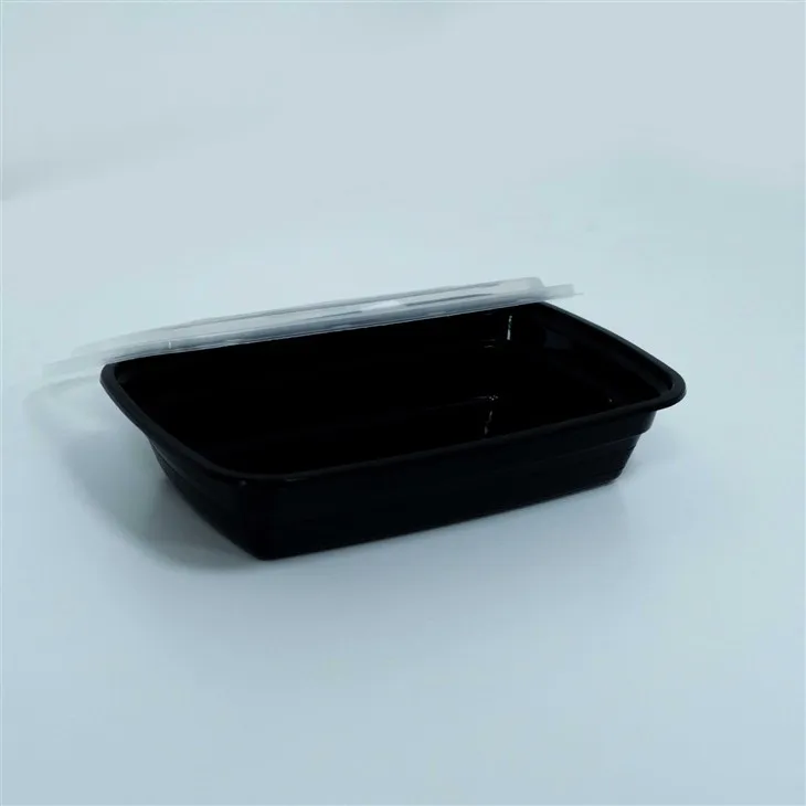 Eco-Responsible Disposable Lunch Boxes - Biodegradable Options (6)